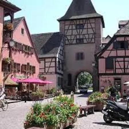 Gite Les Cigogneaux Holiday home
